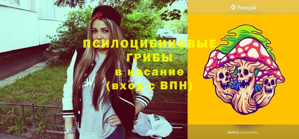 ECSTASY Кодинск