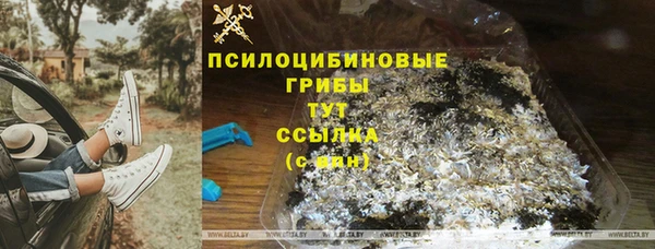 твердый Козловка