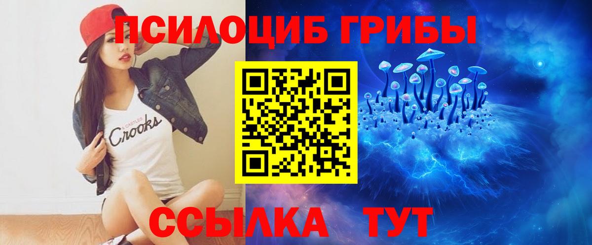Благодарный  наркошоп  Вход с VPN  Псилоцибиновые грибы Psilocybe 