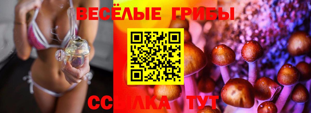Псилоцибиновые грибы мицелий Благодарный